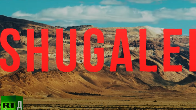 Shugalei, il film che racconta la Libia post-Gheddafi [film con sottotitoli in inglese]